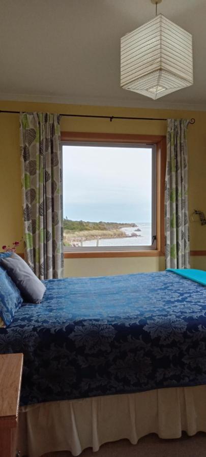 Surat Bay Lodge By The Sea/Backpackers Hostel Owaka Bagian luar foto